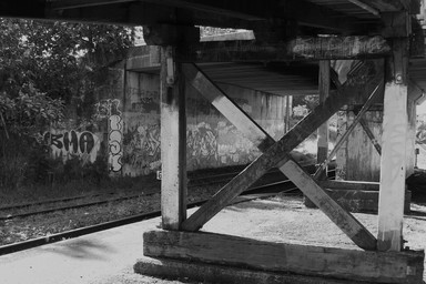 Shona Todd; Under the Bridge; The place in this photo is a part of my daily life as I travel to and from work, taken in Avondale